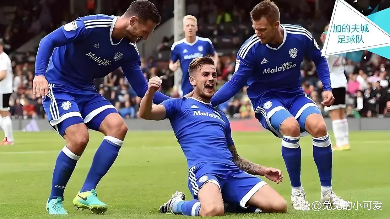 开云体育APP下载-关于谢菲联主场惨遭击败，遭遇保级危机的信息