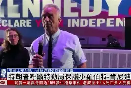 吉姆-比尔登肯尼迪空心木徽